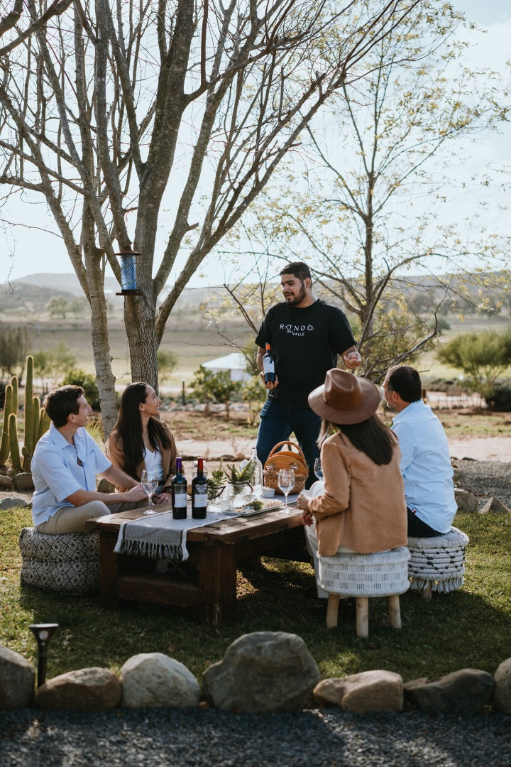 Las Mejores Vinícolas para Visitar en Baja California: Una Guía Completa del Valle de Guadalupe