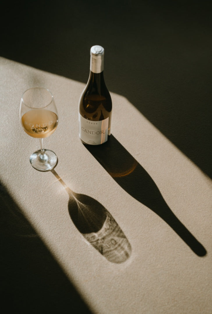 Día Internacional del Chardonnay: Celebrando una Variedad Emblemática en el Valle de Guadalupe