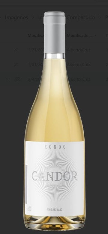 Día del Vino Blanco: cómo elegir el blanco perfecto para el verano en Valle de Guadalupe