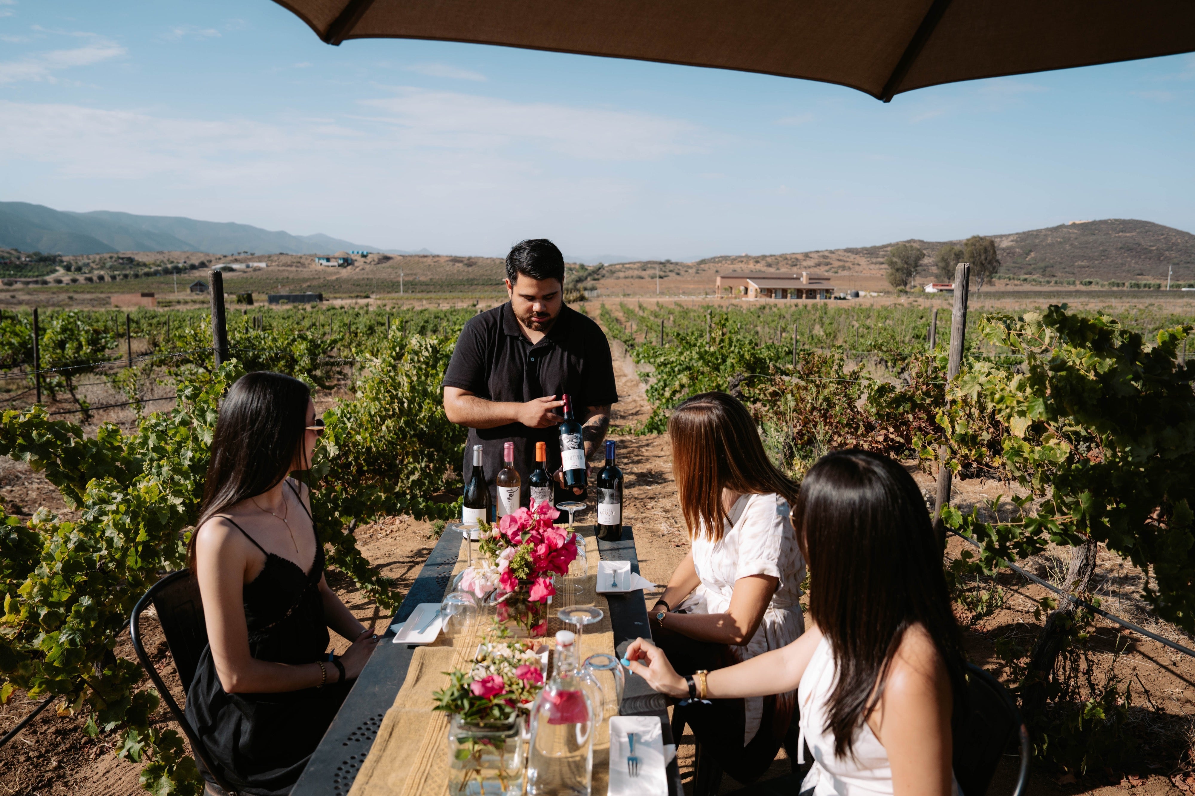Como planear tu visita a Valle de Guadalupe: guía practica sin prisas