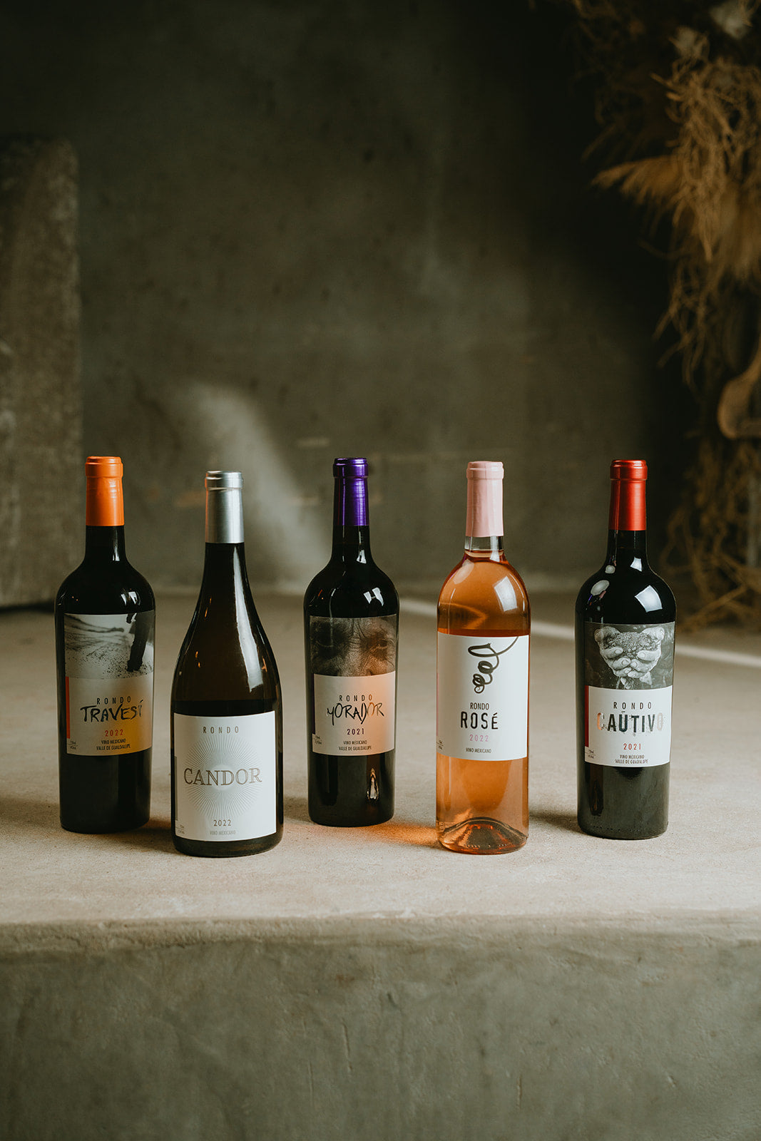 Buen Fin y Cyber Monday en Rondo del Valle: Ofertas Exclusivas en Vinos del Valle de Guadalupe