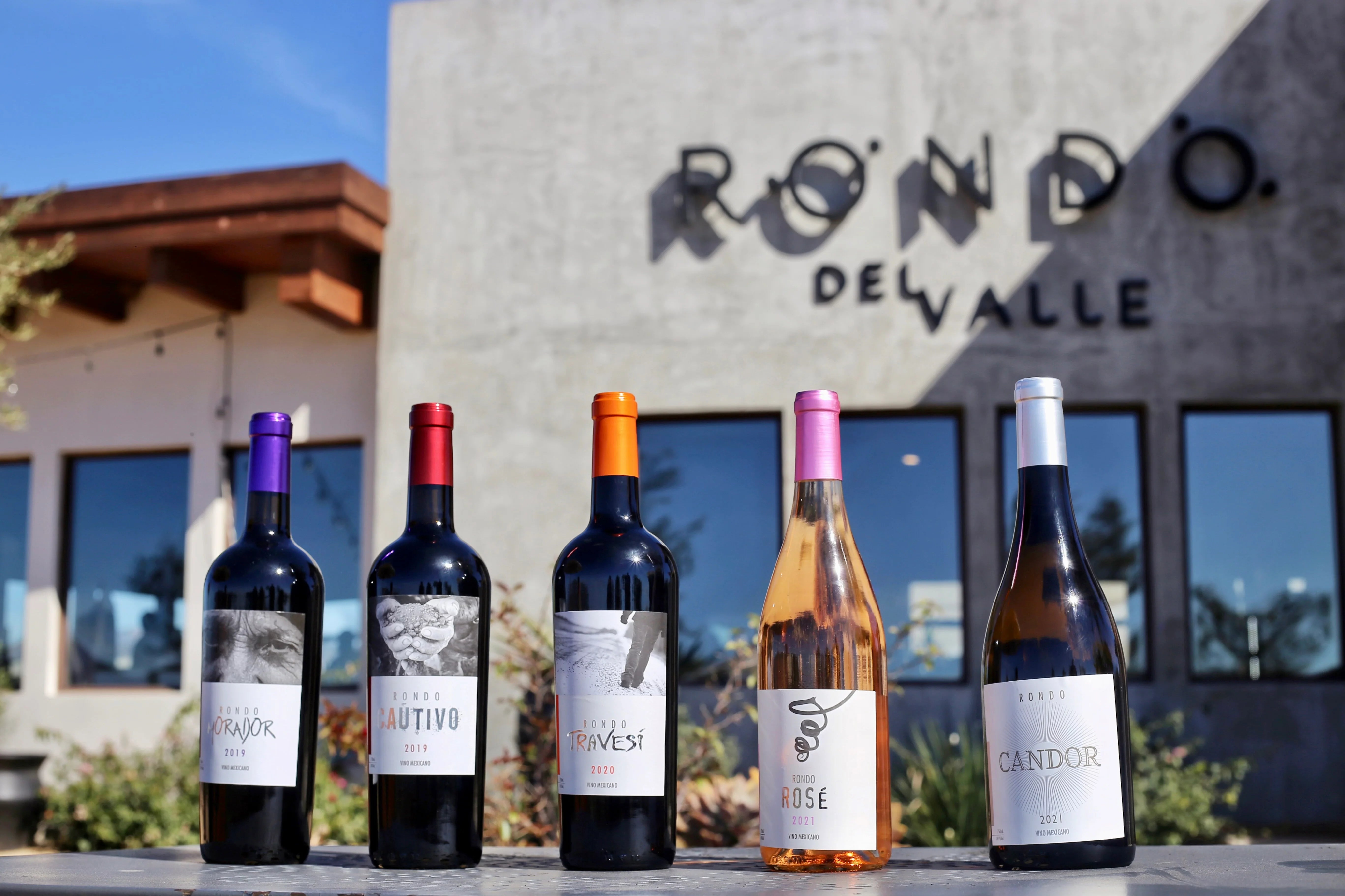 Vino tinto, vino rosado y vino blanco del valle de guadalupe