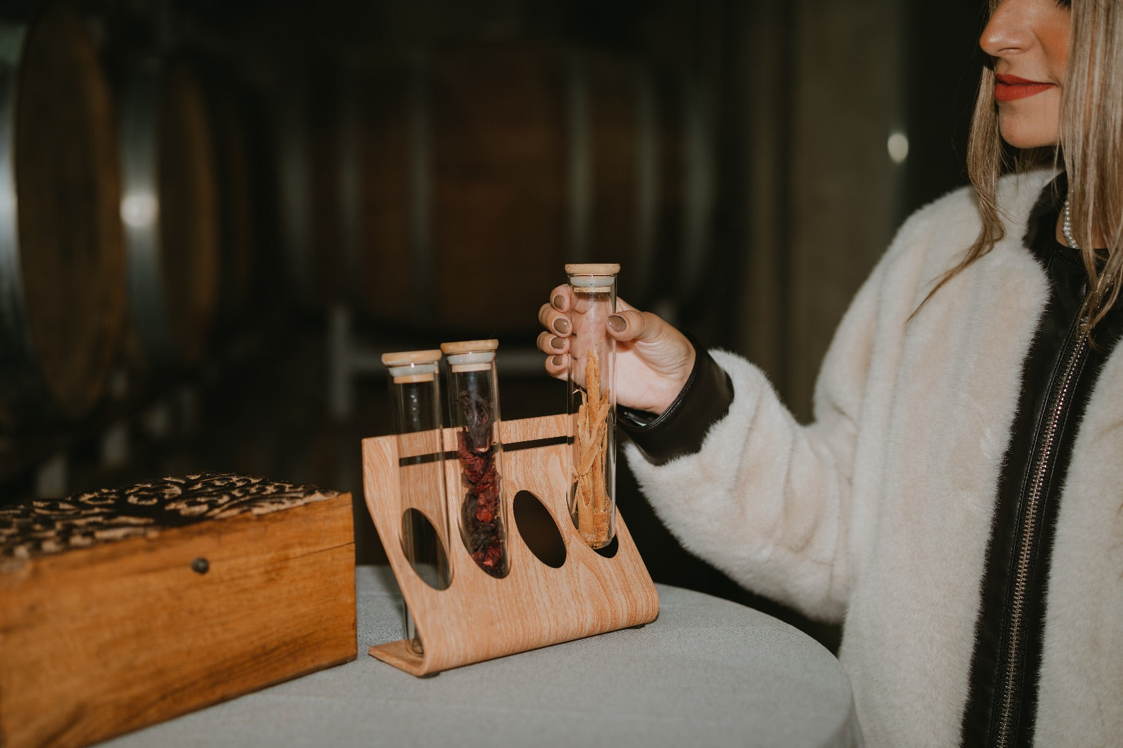 The Magic of Morador: A Christmas Tale