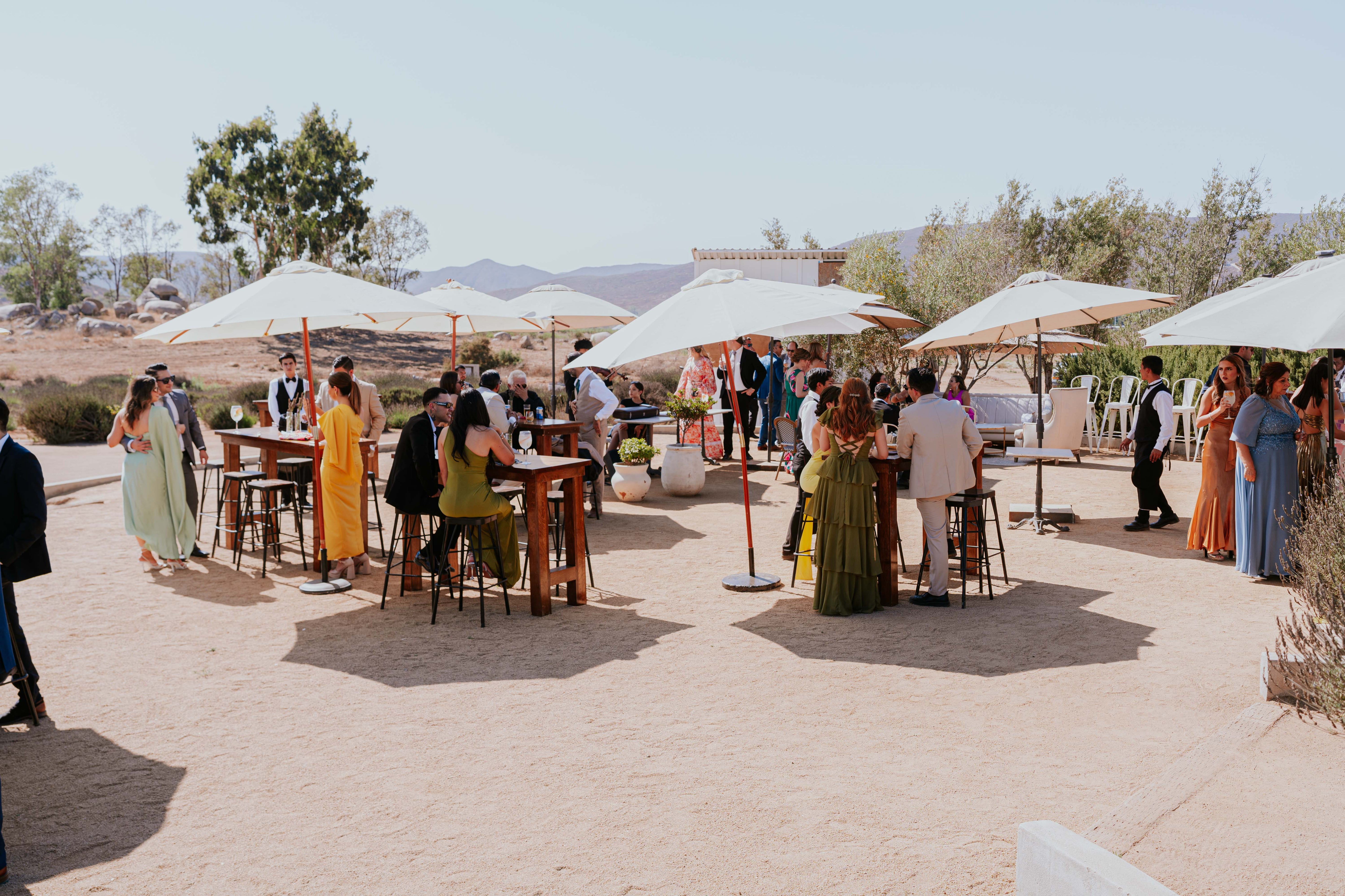 Recepción de una boda en el Valle de Guadalupe en Aires de Lavanda
