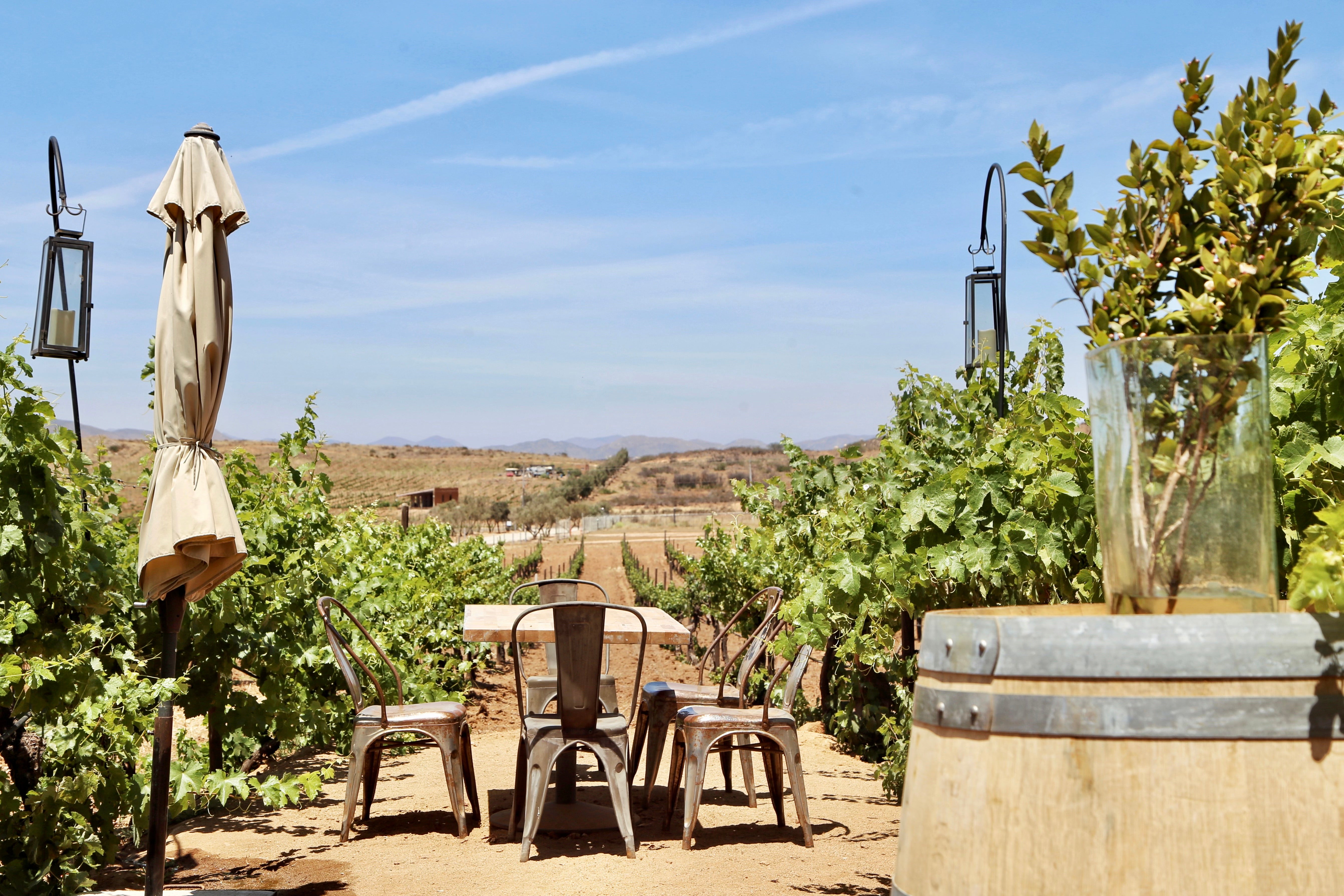 Mesa entre el viñedo de Rondo del Valle en el Valle de Guadalupe