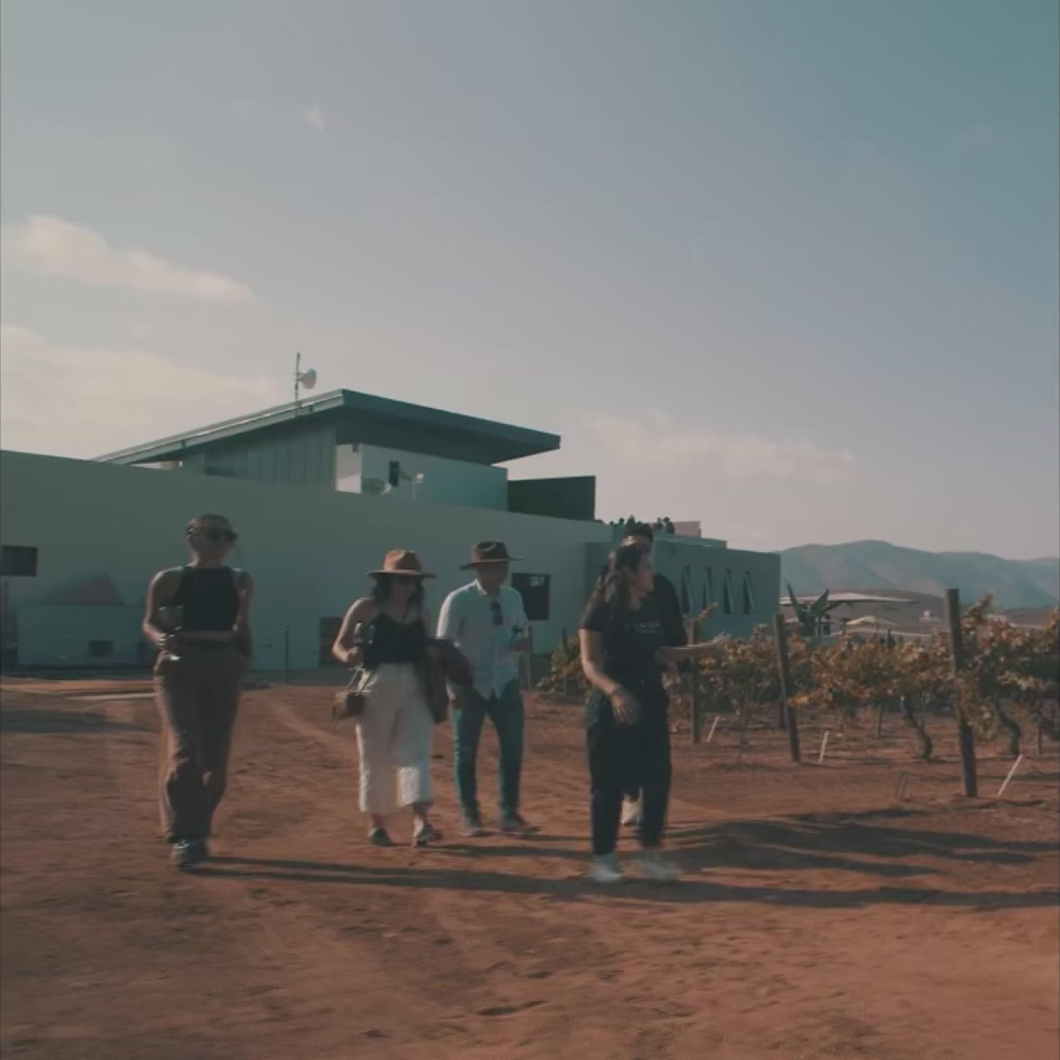 Video de degustación entre viñedo en Rondo del Valle en el Valle de Guadalupe