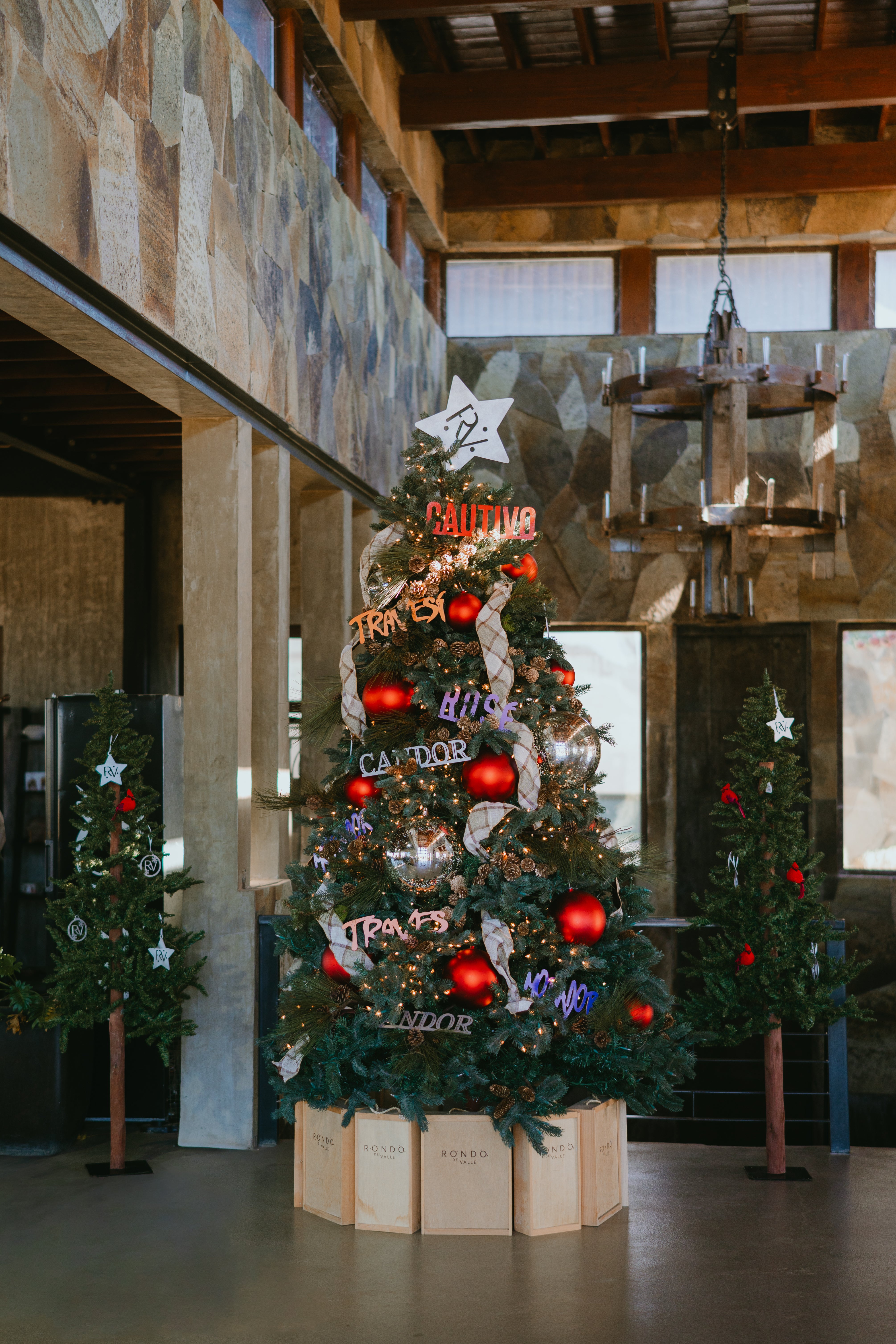 The Magic of Morador: A Christmas Tale