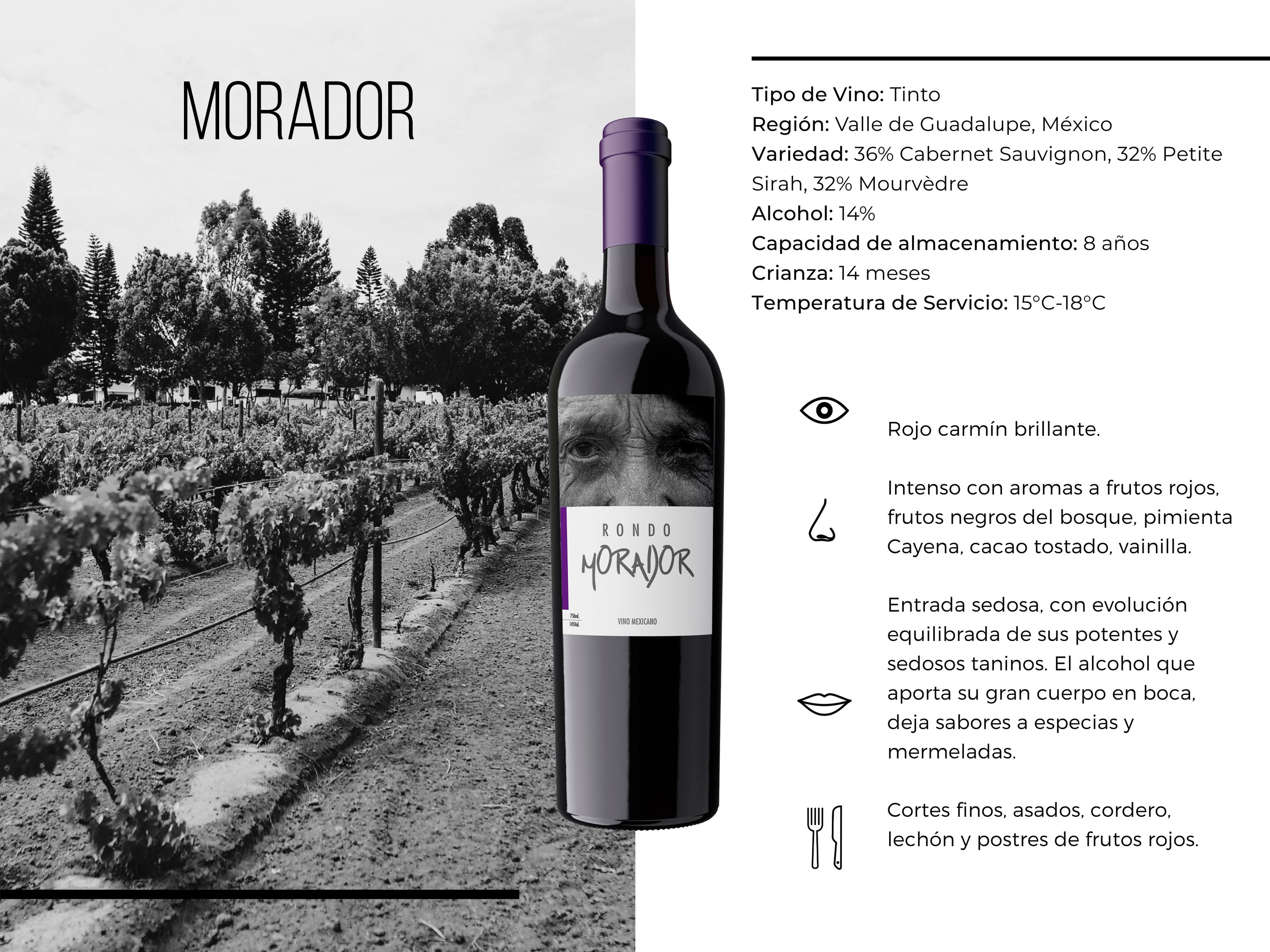 Ficha técnica vino tinto mexicano del Valle de Guadalupe Rondo del Valle Morador - Rondo del Valle
