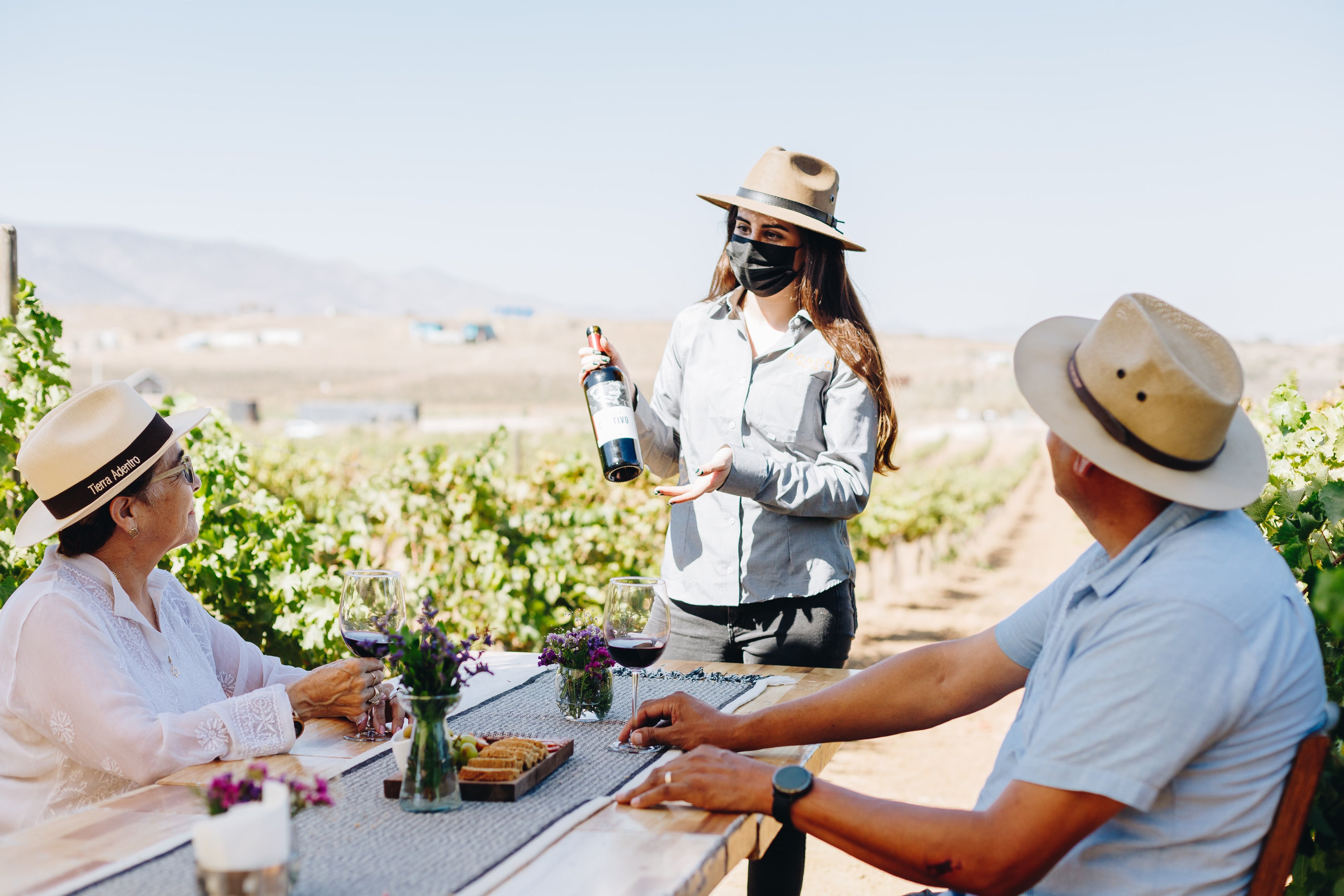 Degustación y recorrido entre viñedo - Rondo del Valle