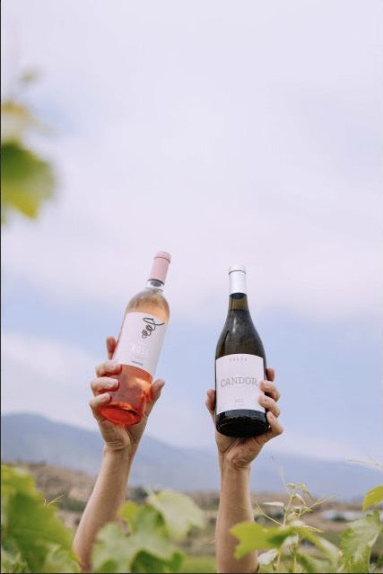 Dia de la Amistad en Valle de Guadalupe
