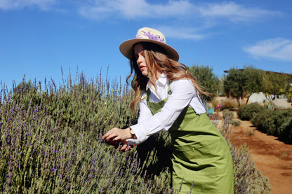 Celebración entre lavanda y viñedo
