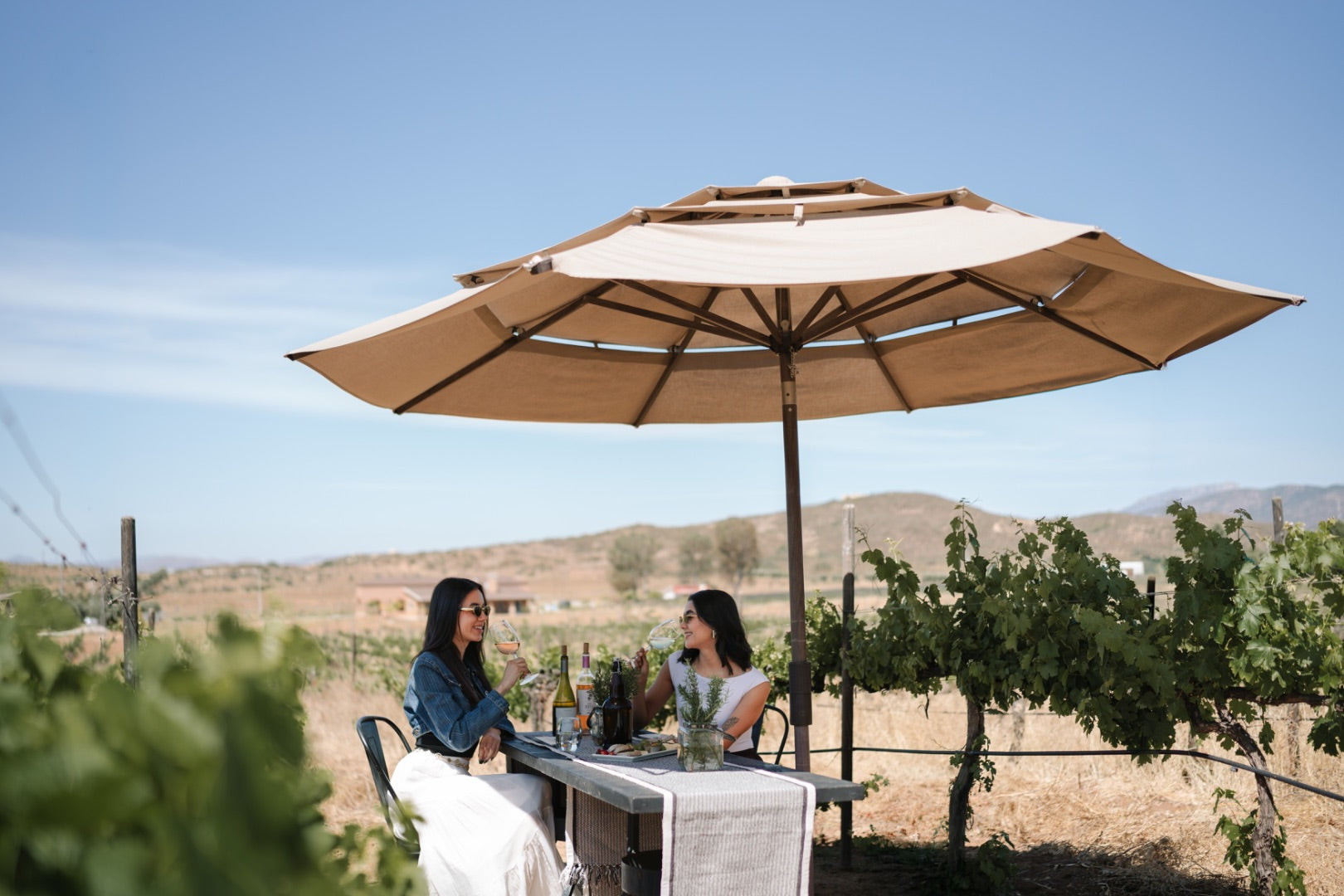 Degustación y recorrido entre viñedo - Rondo del Valle