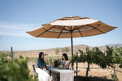 Degustación y recorrido entre viñedo - Rondo del Valle