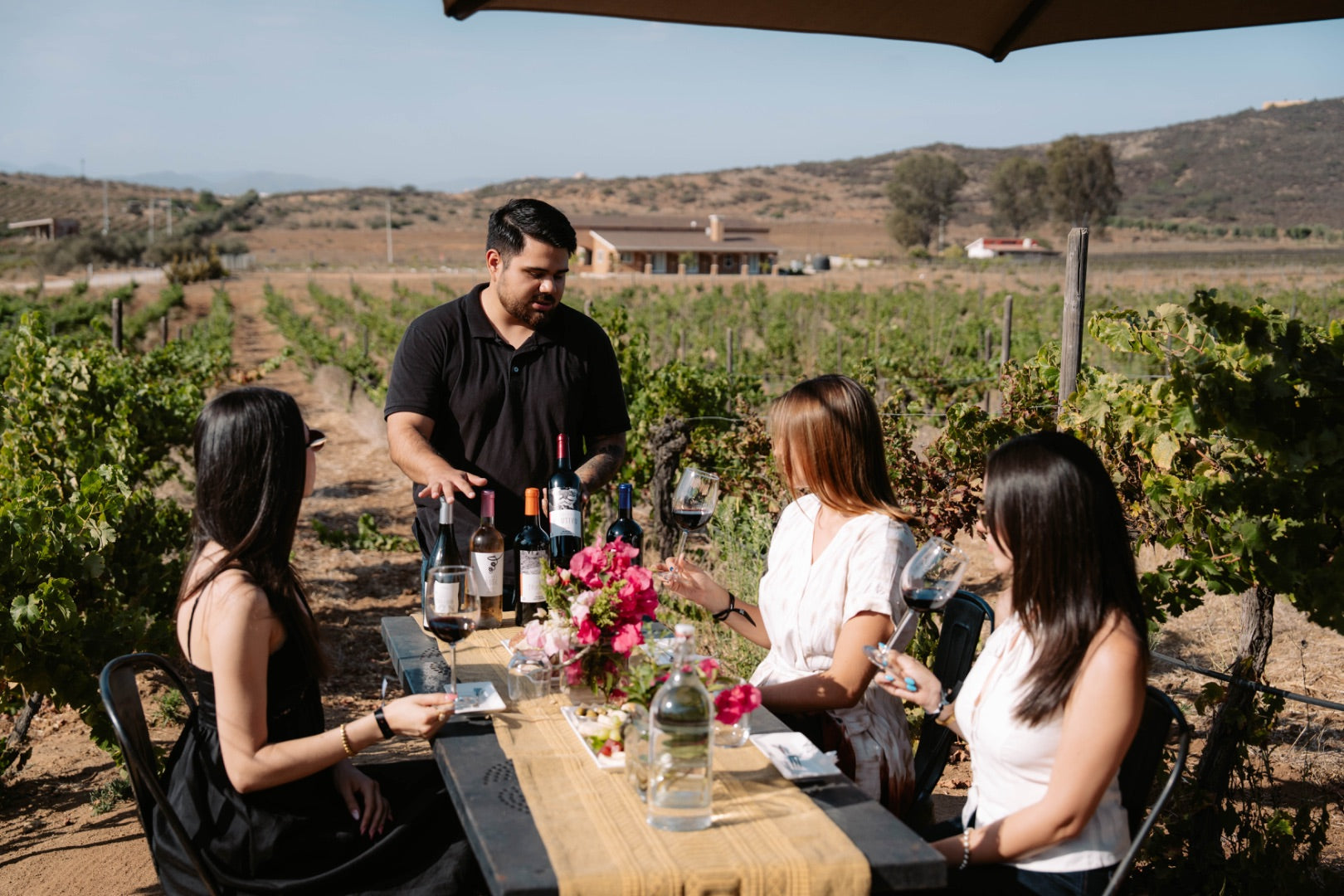Degustación y recorrido entre viñedo - Rondo del Valle