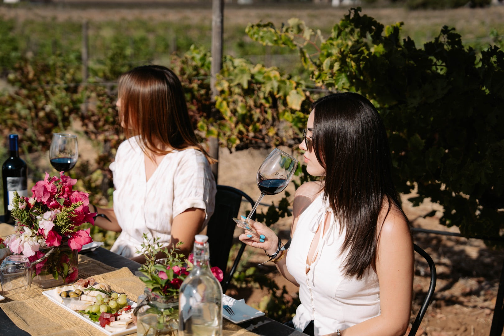 Degustación y recorrido entre viñedo - Rondo del Valle