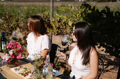 Degustación y recorrido entre viñedo - Rondo del Valle