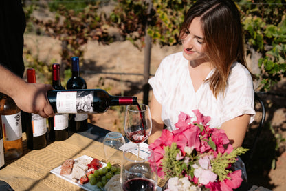 Degustación y recorrido entre viñedo - Rondo del Valle