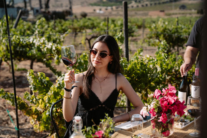 Degustación y recorrido entre viñedo - Rondo del Valle