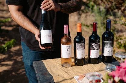 Degustación y recorrido entre viñedo - Rondo del Valle
