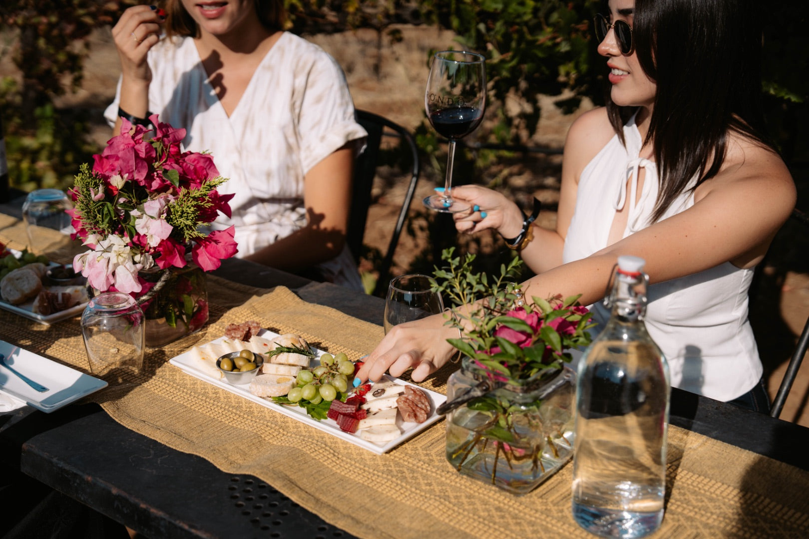 Degustación y recorrido entre viñedo - Rondo del Valle