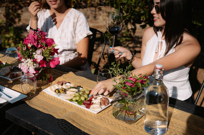 Degustación y recorrido entre viñedo - Rondo del Valle