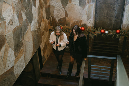 The Magic of Morador: A Christmas Tale