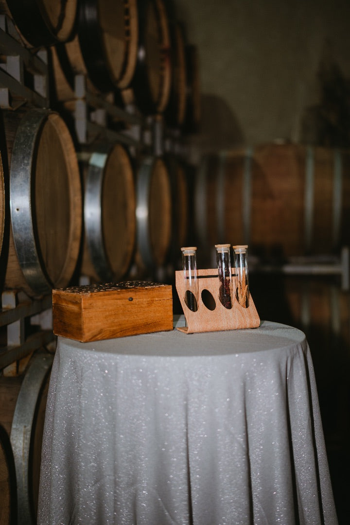 The Magic of Morador: A Christmas Tale