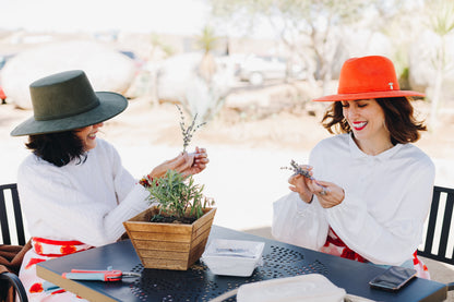Escapada: Vino, Cerveza y Lavanda