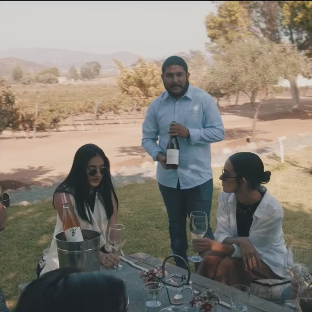 Tasting in the gardens 