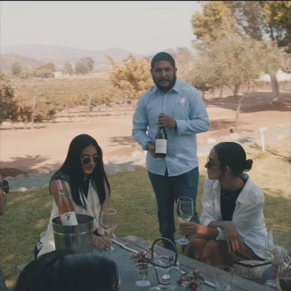 Tasting in the gardens 