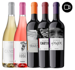 Cata virtual de 5 vinos - Rondo del Valle
