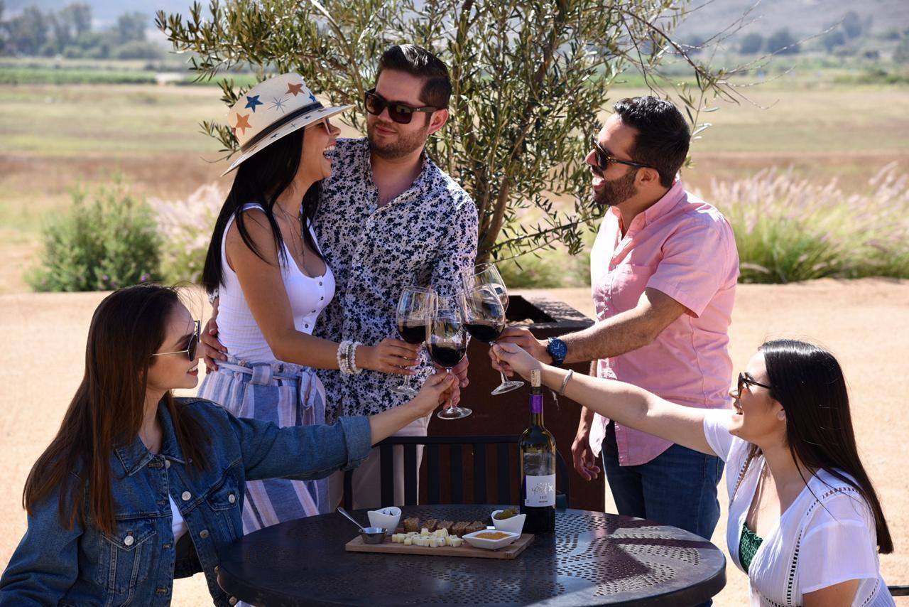 Tasting of our 5 wines and tour of the facilities. - Rondo del Valle