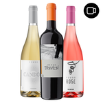 Virtual tasting of young wines - Rondo del Valle