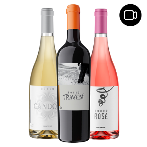 Virtual tasting of young wines - Rondo del Valle