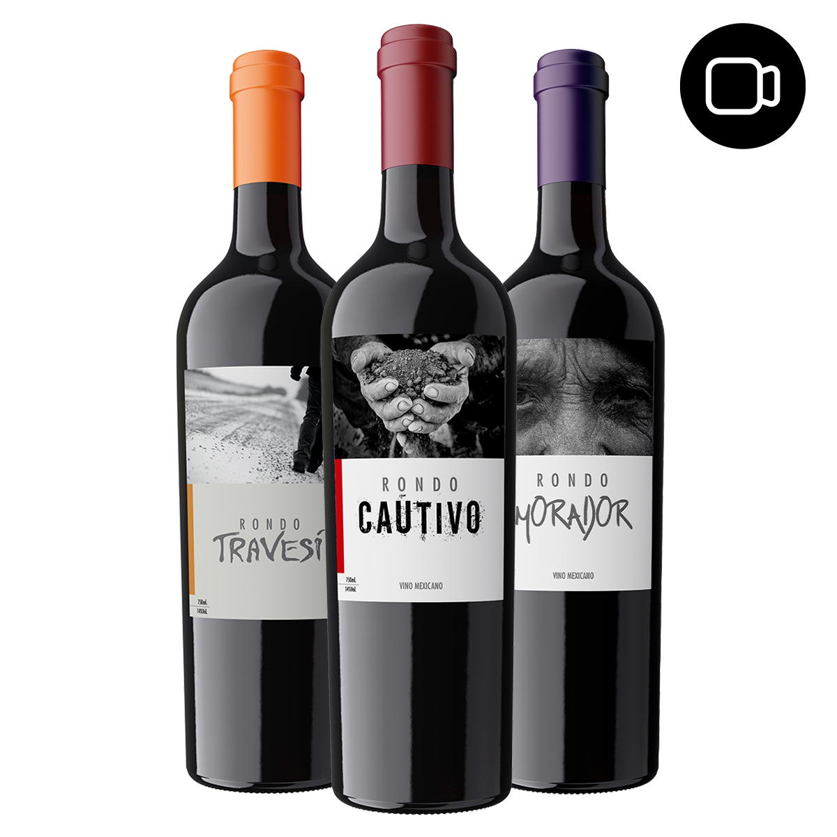 Virtual tasting of red wines : Rondo del Valle