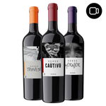 Virtual red wine tasting - Rondo del Valle