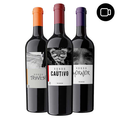 Virtual red wine tasting - Rondo del Valle