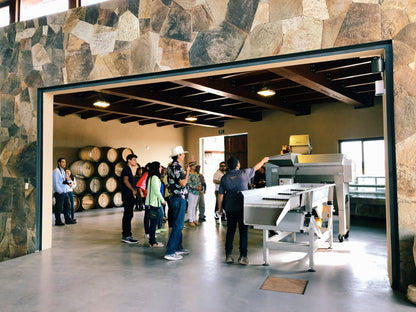 Degustación de nuestros 5 vinos y recorrido por las instalaciones. - Rondo del Valle